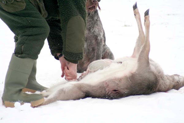 Killikus&reg; Fotographie